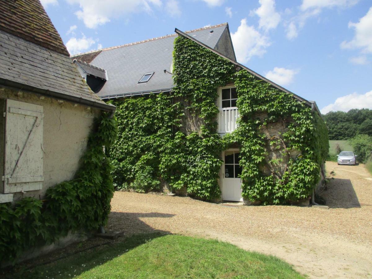 Chambres D'Hotes La Ferme Du Grand Launay Semblançay Exterior foto